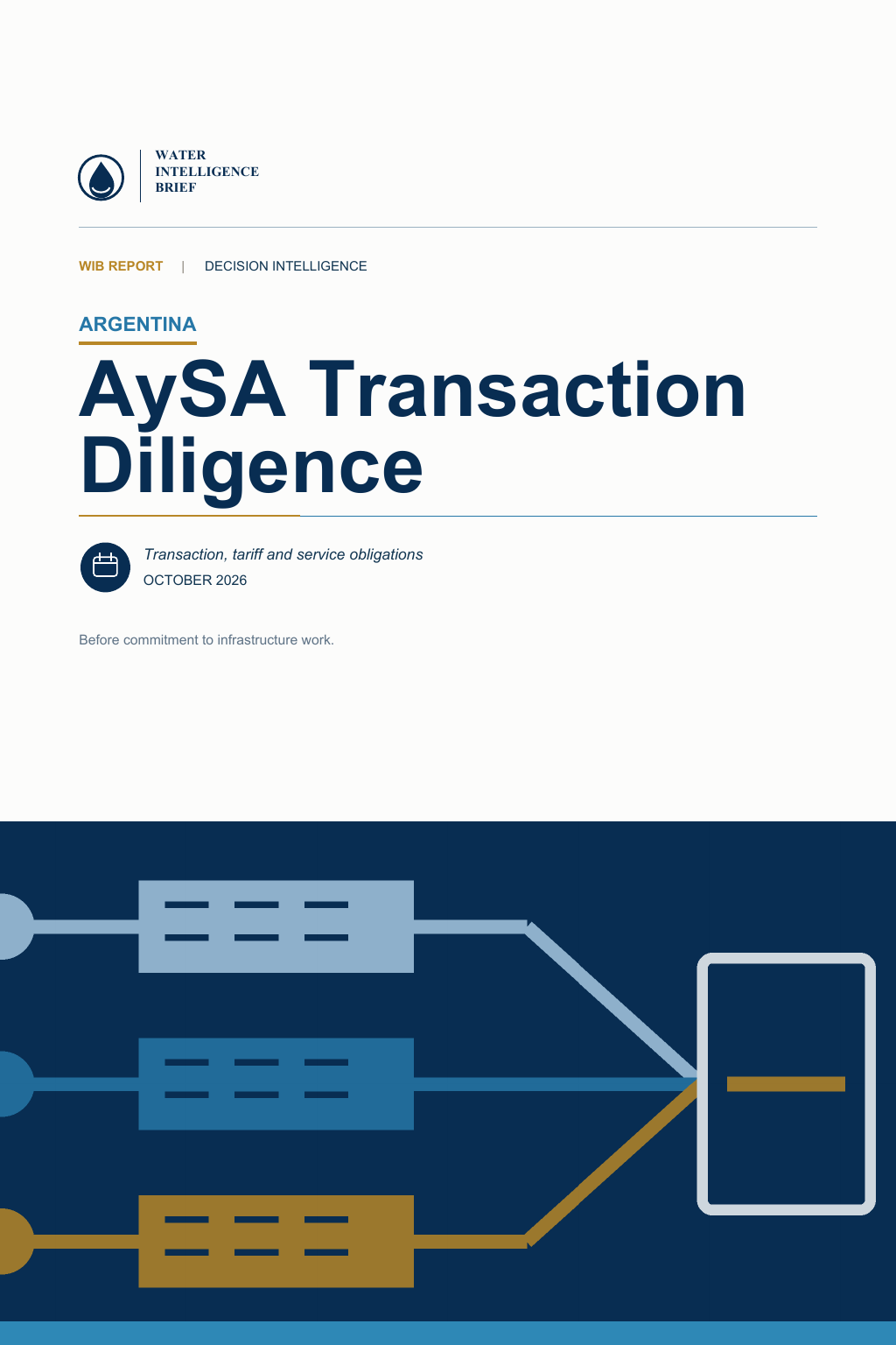 AySA Transaction Diligence cover